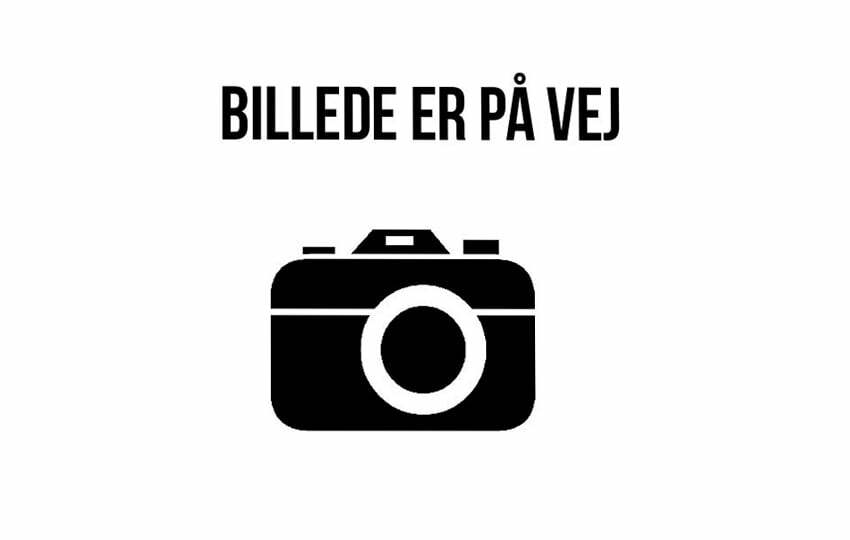 Ole Madsen